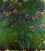 agapanthus_1.jpg