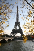 torre_eiffel_con_arboles_muralesyvinilos_17472514__XL.jpg