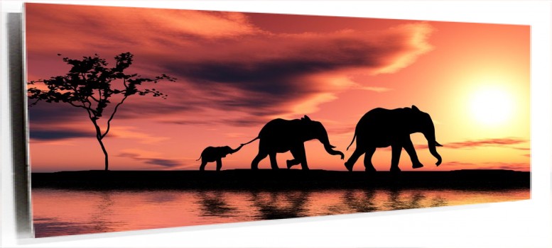 laminas decorativas pared - Imagen de elefante africano para