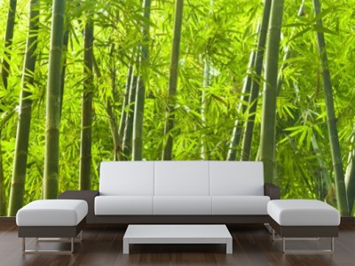Impresión de lienzo del bosque de bambú, arte de la pared de los árboles de  bambú