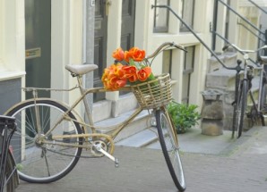  Murales Bici con flores